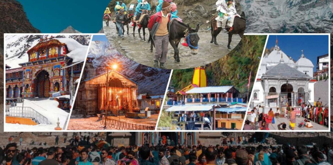 चारधाम यात्रा 2025: केदारनाथ और यमुनोत्री मार्ग पर 4300 से अधिक घोड़े-खच्चर संचालक देंगे सेवाएं, फिटनेस सर्टिफिकेट के बाद ही अनुमति