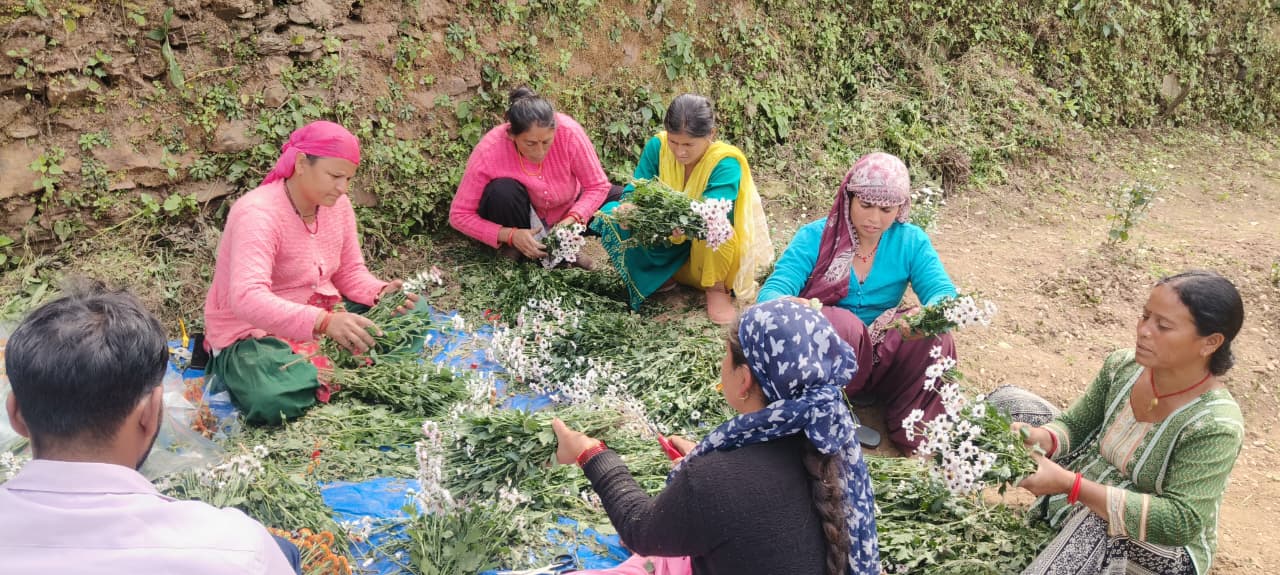 सूबे में सामूहिक खेती से आबाद हो रहे बंजर खेत,माधो सिंह भण्डारी सामूहिक खेती योजना बनी वरदान,2400 किसानों के जरिये 1235 एकड़ पर हो रही खेती।