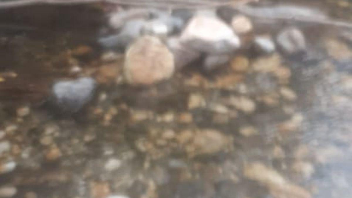 कुकरेड़ा सिंचाई योजना विवाद: सीएम हेल्पलाइन पर शिकायत के बाद भी असंतुष्ट नजर आ रहे हैं शिकायतकर्ता