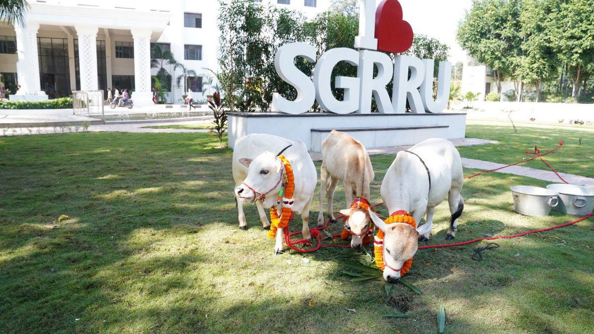 दून के विश्वविद्यालय में दिखी दुनिया की सबसे लघु नस्ल की नैनो गाय