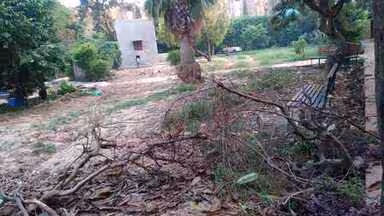 हापुड़ नगर पालिका पार्क की बदहाली से लोग परेशान, सुधार की मांग