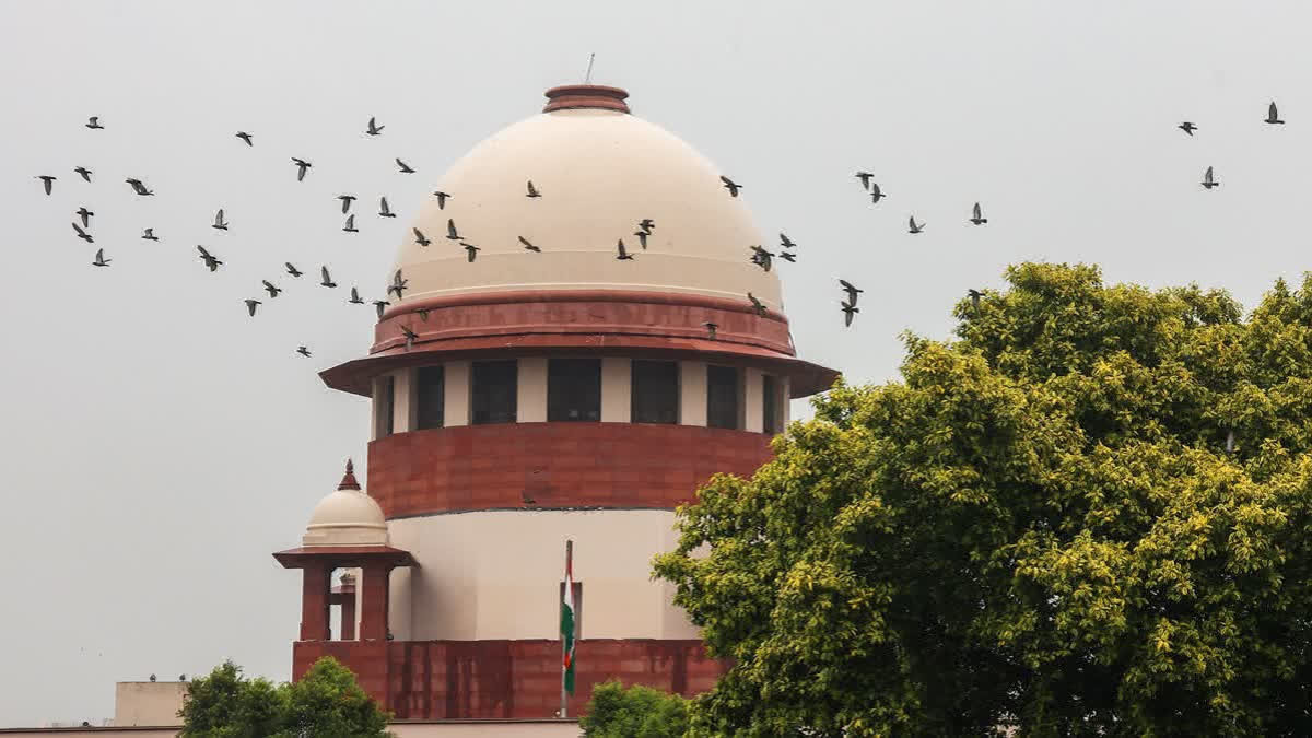 ओबीसी क्रीमी लेयर मामले पर सुप्रीम कोर्ट के निर्देशों का इंतजार कर रहा केंद्र, सिविल सेवा आवंटन पर फंसा मामला
