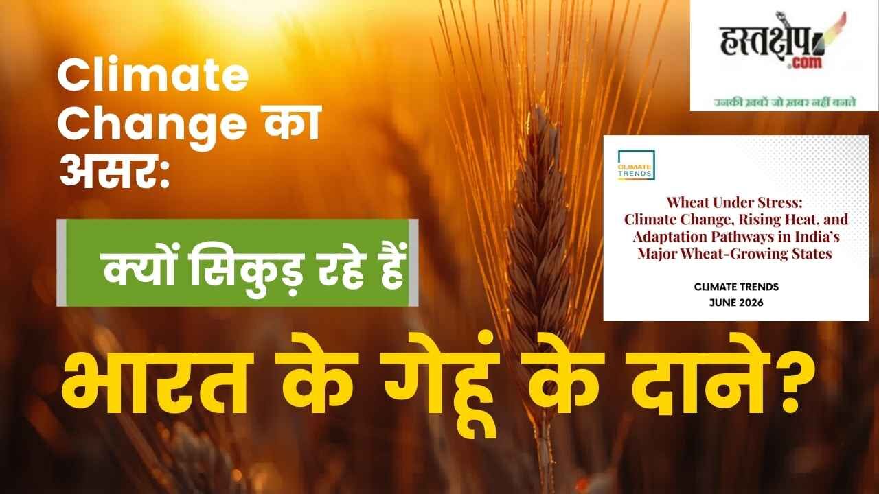 कमजोर मॉनसून और अल नीनो का साया: रबी फसलों पर मंडरा रहा है बड़ा संकट