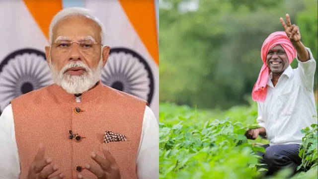 दलहन-तिलहन किसानों के लिए केंद्र सरकार का बड़ा कदम, एमएसपी से कम दाम मिलने पर सीधे मंडियों से होगी खरीद