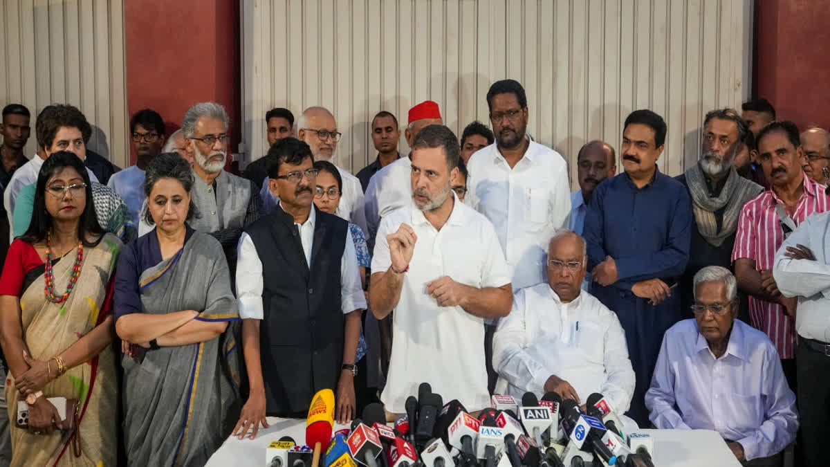 नई दिल्ली में इंडिया गठबंधन और सिविल सोसायटी की बैठक, राहुल गांधी ने कही प्रतिरोध जारी रखने की बात