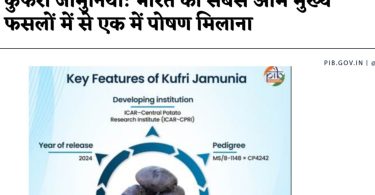 प्रधानमंत्री नरेंद्र मोदी ने विजयदशमी पर देश को किया संबोधित, समाज को बांटने वाली ताकतों के खिलाफ जताई चिंता